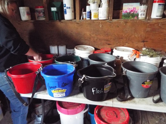 feed buckets 2