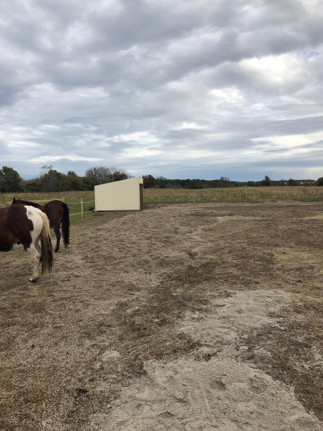 7A8F0562-ACBE-499A-B0A8-1B01E7F599EE