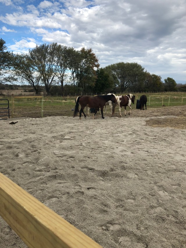 F3164BB4-220D-484A-B719-BAFDBB42AD7E